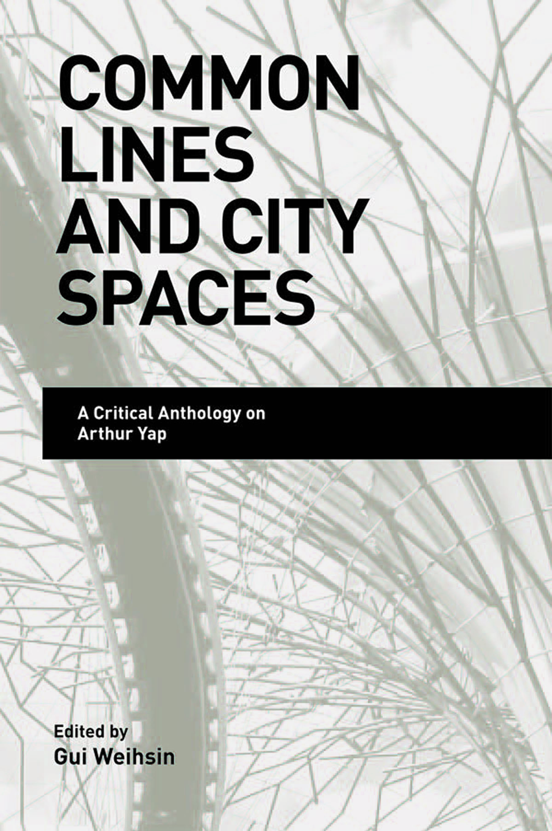 Title details for Common Lines and City Spaces by Gui Weihsin - Available
